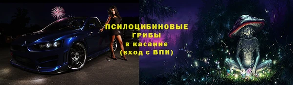 сатива Богданович